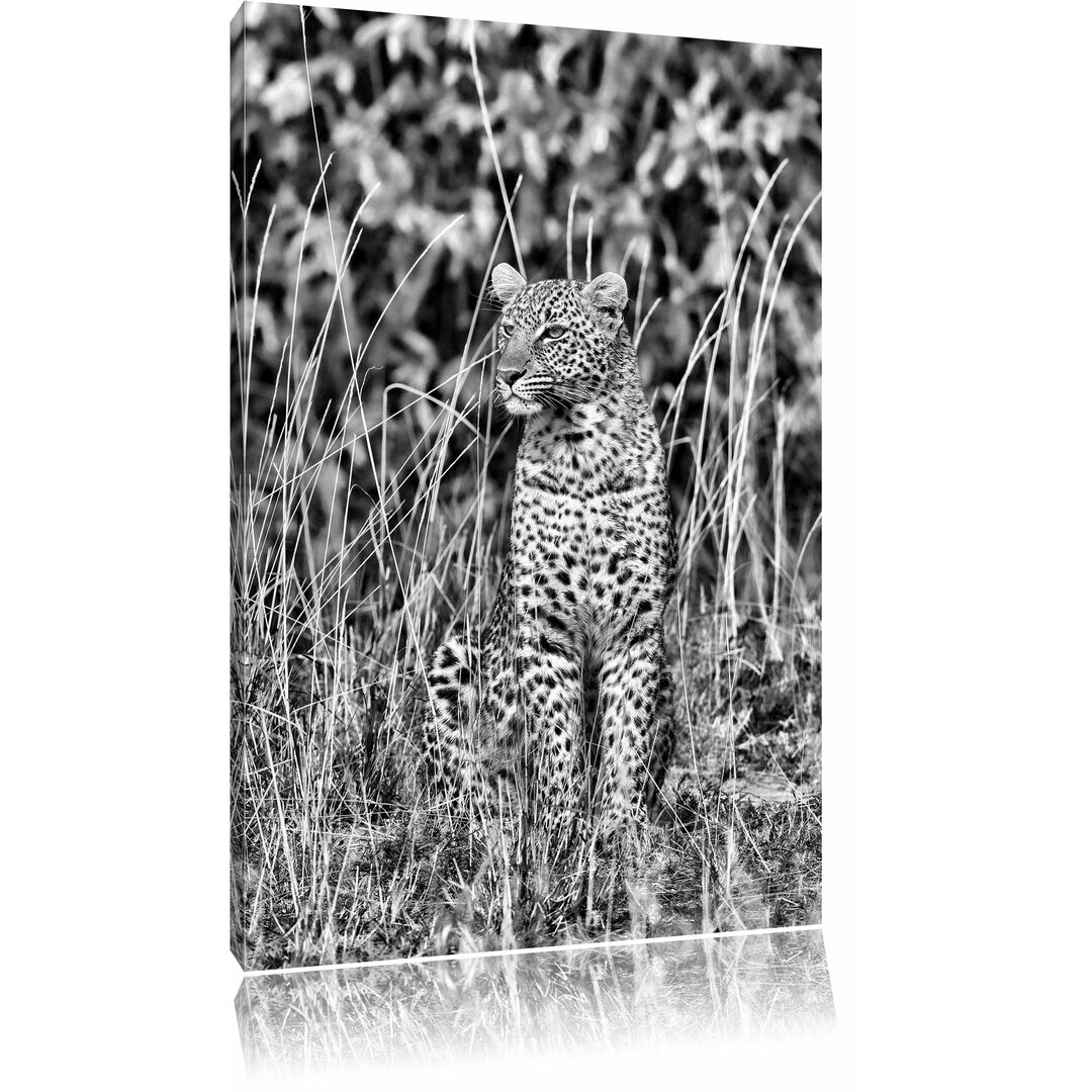 Leinwandbild Anmutiger Leopard im hohen Gras in Monochrom