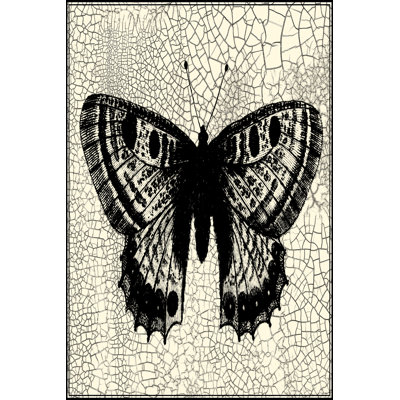 Papillon classique II