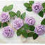 Arrangement-530701085