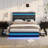 Keilianys Upholstered Low Profile Platform Bed-21119733-21119737