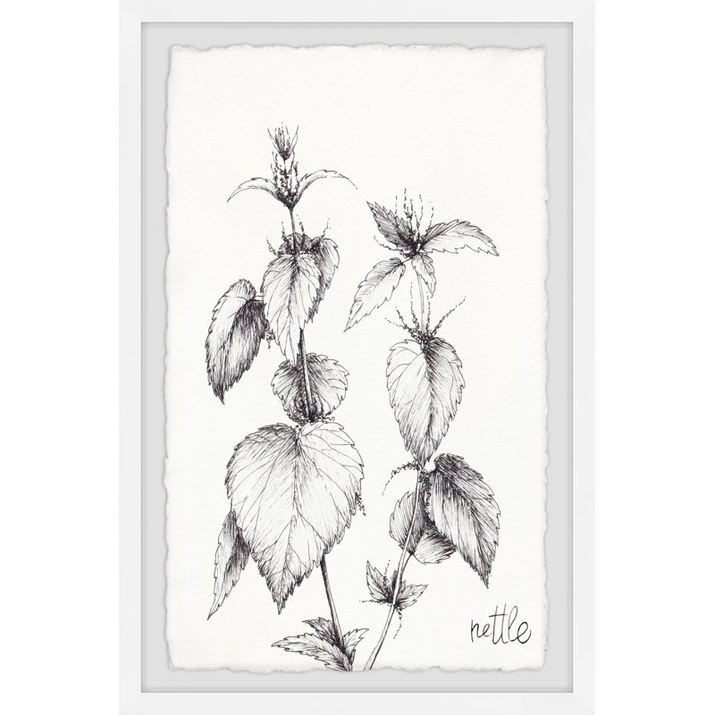Rucola and Nettle 1 Piece Single Picture Frame Painting, 30cm H x 20cm W x 3.81cm D