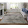 Valin Performance Abstract Indoor Rug