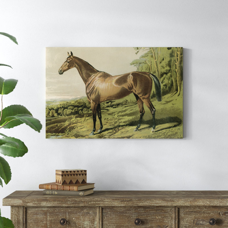«Cassells Horse IV», reproduction d'art sur toile, H 24 po x l 36 po