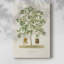 Arbre antique avec fruit VI - galerie Cavas-1345284422