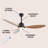 Clarra 52'' Ceiling Fan with LED Lights-1890635353