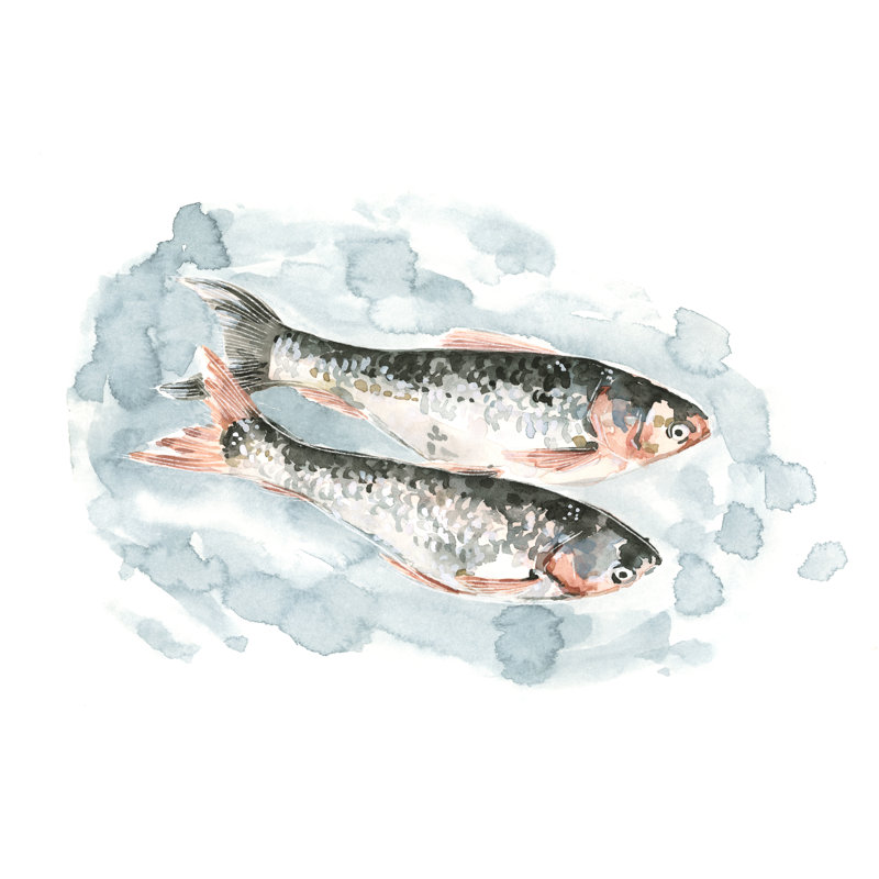 «Pisces pair II» par Emma Caroline - peinture sur toile tendue, H 32 po x l 48 po