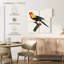 Brampt Sun Conure-109149189