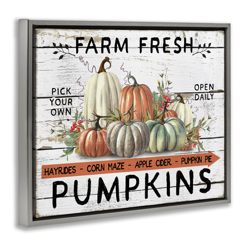 «Fresh Pumpkin Mound», estampe numérique encadrée par Creatif Belle, H 25 po x l 31 po, Cadre flottant gris lustré