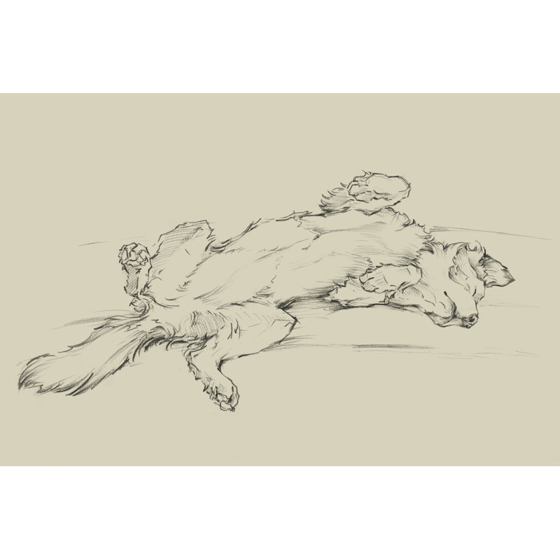 Dog Tired III by Ethan Harper - Drawing, Wrapped Canvas, 81 cm H x 122 cm W
