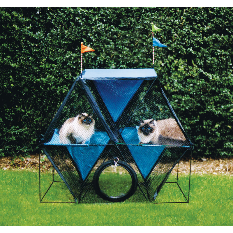 Portable Cat Playpen