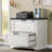 Karlie 2 Pieces Office Set,Farmhouse Filling Cabinet& Executive Desk-1565744299
