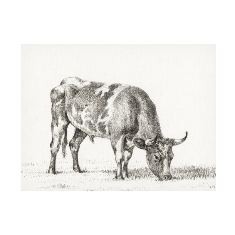 «Bernard's Bull Renderings I» sur, H 18 po x l 18 po