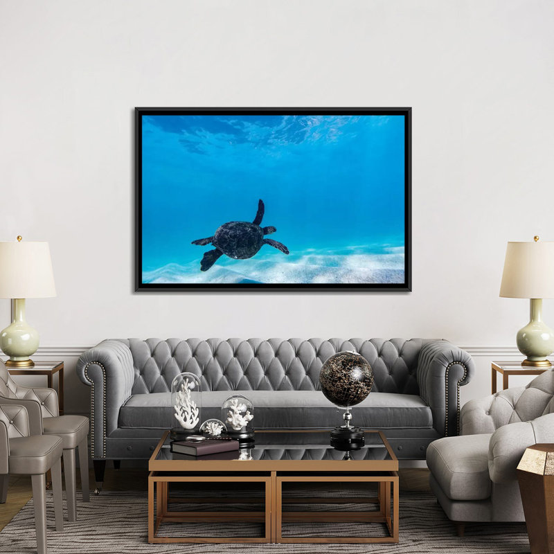 «Glide Turtle» par Sean Davey - reproduction d'art, H 40 po x l 60 po x 1,5 po, Aucun mat, Toile avec cadre noir