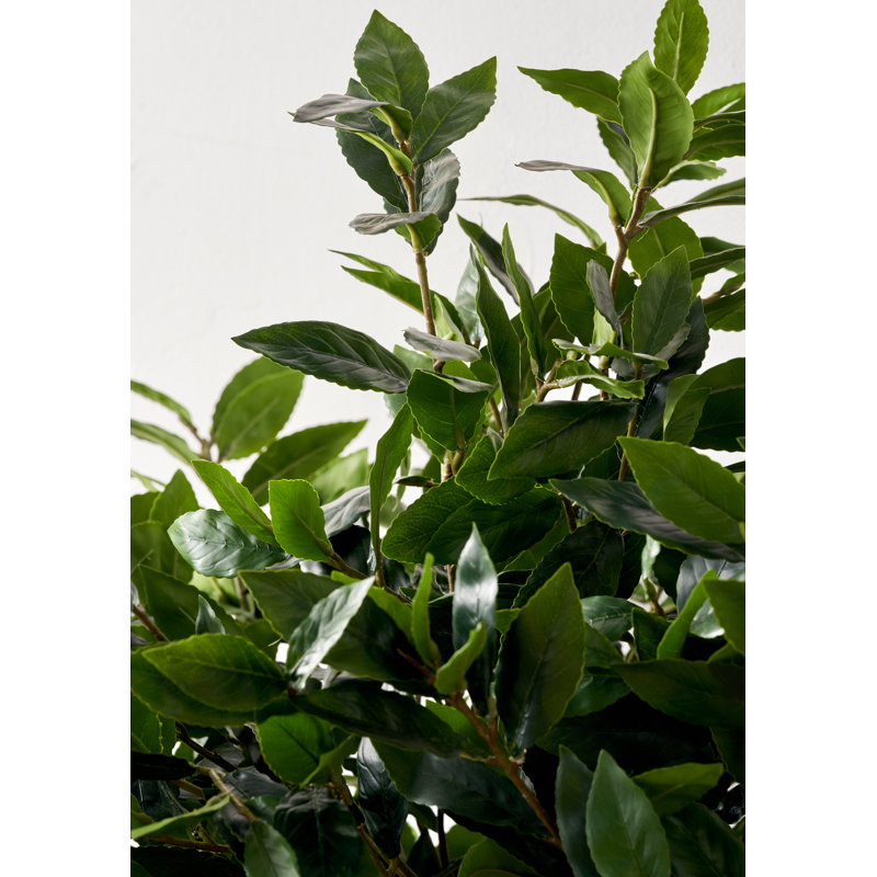 150cm Faux Plant in Cement Pot