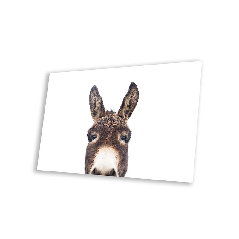«Peeking Donkey» par Sissi & Seb - impression sans cadre, H 24 po x l 32 po x P 0,25 po