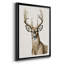«Handsome Whitetail I», impression sur papier-982521382-982521387