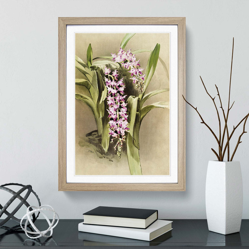 Magnolia Flowers Illustration Tab. 81 by Frederick Sander - Picture Frame Painting Print, Oak, 60cm H x 40cm W x 2cm D