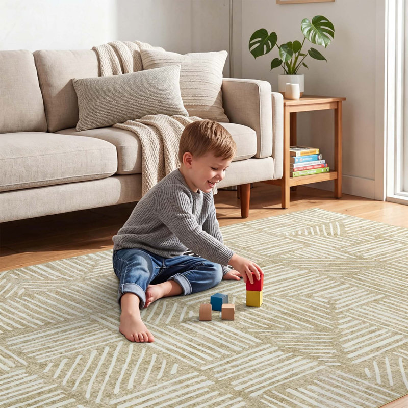 Tapis moderne à motifs géométriques abstraits avec envers antidérapant en TPR, idéal pour le salon, la chambre à coucher, la salle à manger, la cuisine et l'entrée.