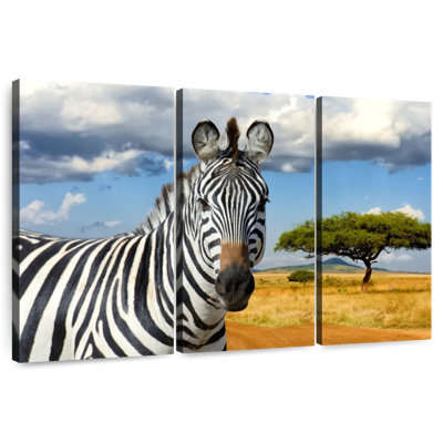 Zèbre safari africain Brampt