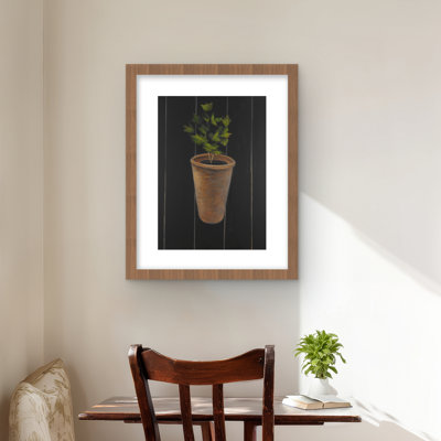 Plante de persil - Hygge Botanical