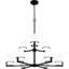 Ephemerine 9-Light Matte Black Chandelier-970898953