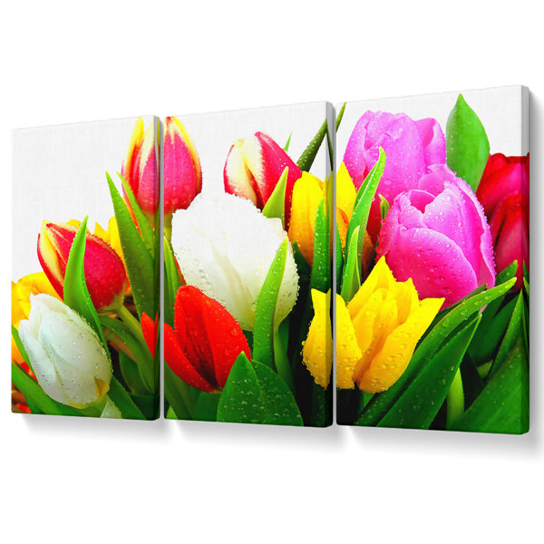 Ebern Designs Fresh Tulips - 3 Piece Wrapped Canvas Graphic Art ...
