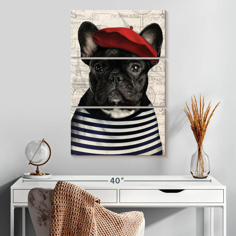 Adorable bouledogue français Brampt