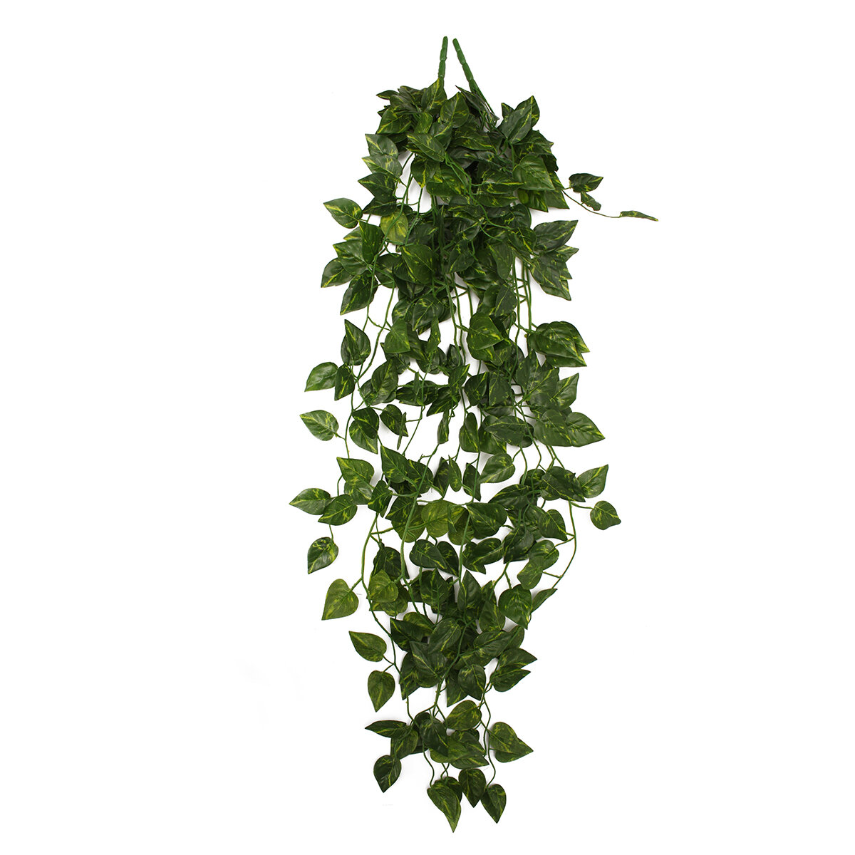 Primrue Hanging Bush Ivy Plant & Reviews | Wayfair