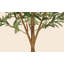 Plant-1153444754