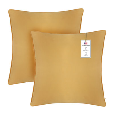 Housse de coussin décoratif en velours fin et luxueux a1h1h