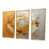Gold Floater Framed