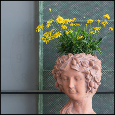 Pot à fleurs mural Visage Head