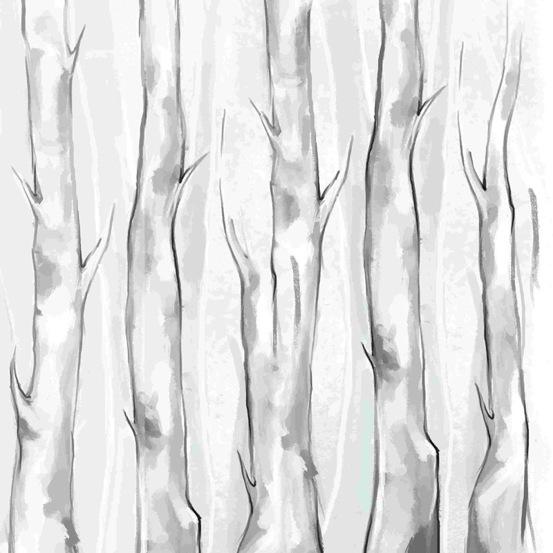 Bouleaux noirs et blancs - peinture sur toile tendue, H 12 po x l 12 po
