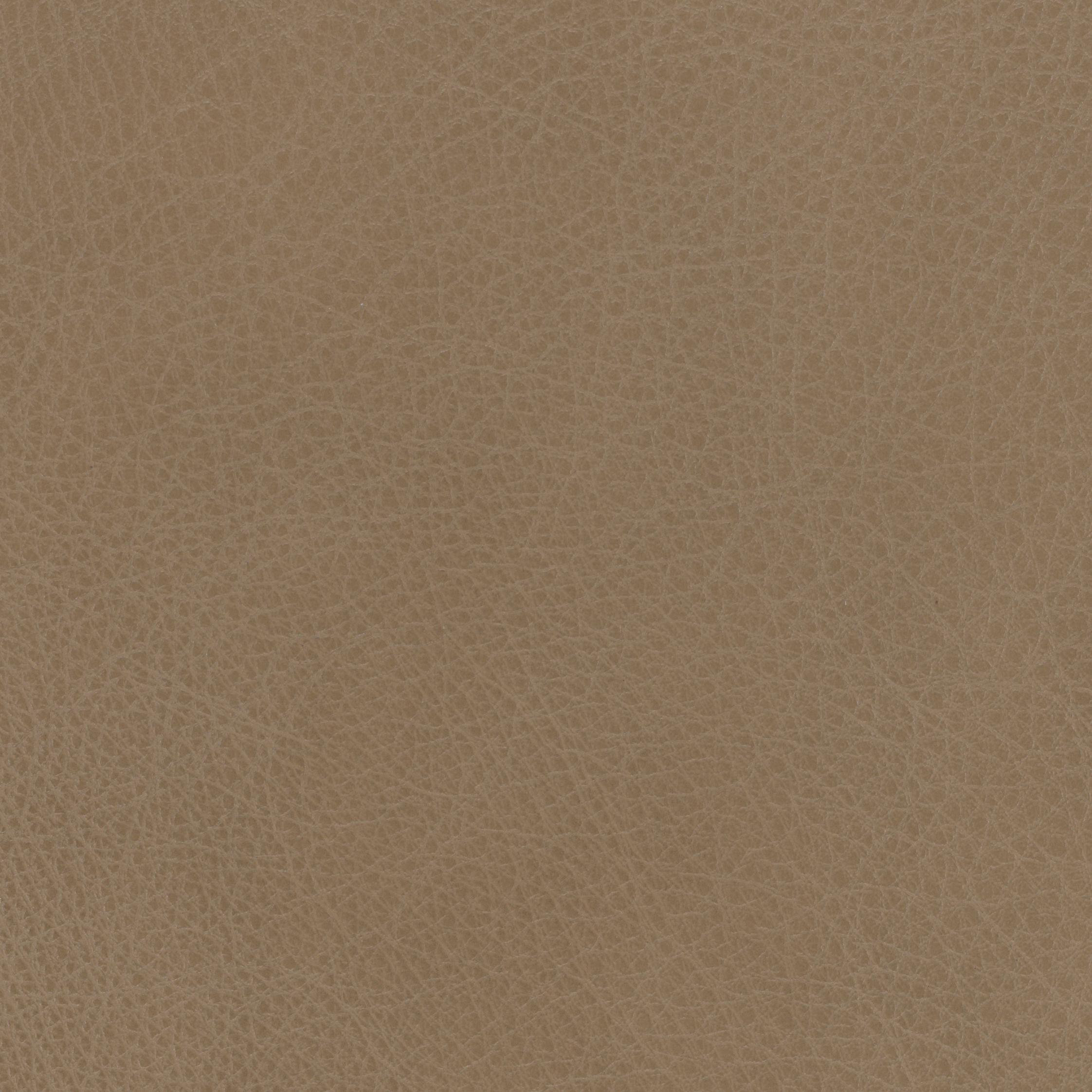 Wayfair Samples Southwestern Mushroom Sample Wayfair