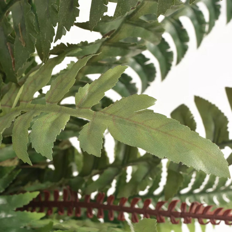 Faux Fern Plant in Pot, 60cm H, Green