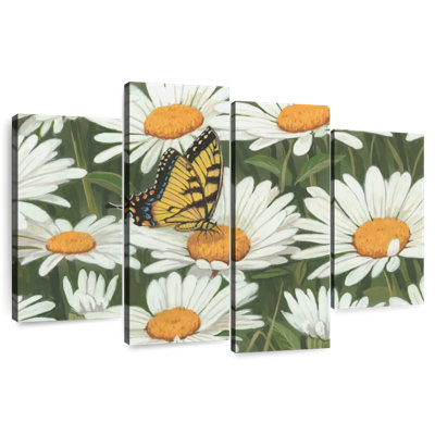 Marguerites et papillon