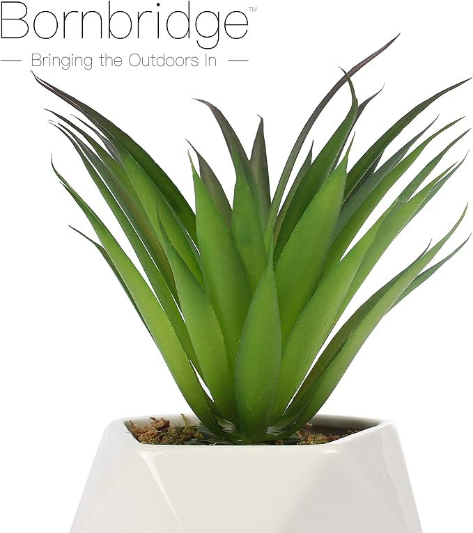 2.75" Artificial Stricta Succulent in Vase
