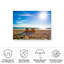 Chaise de plage Bachelon en Floride-98043646
