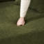 Causeuse LY-025S Coral-1267133540