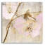 «Elegance 2 Pink» par Albena Hristova, art mural en verre acrylique-1580548756