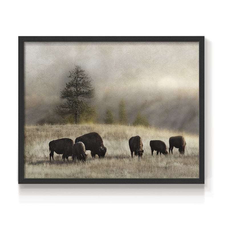 Ridge Grazing -Framed Print - Restickable, 8" H x 10" W, Black