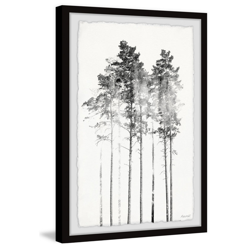 Misty Forest - Photographie avec cadre photo, H 36 po x l 24 po x P 1,5 po