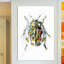 « ladybird », impression sur toile tendue-72688917-72688918-72688919