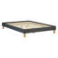 Dayna Upholstered Platform Bed-674551352