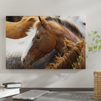 « profile head, malaga, chelan county, washington, usa », reproduction de photo sur toile