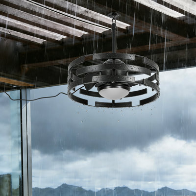 20" Outdoor Indoor Caged Ceiling Fan with LED Lights, IP44 Waterproof Black