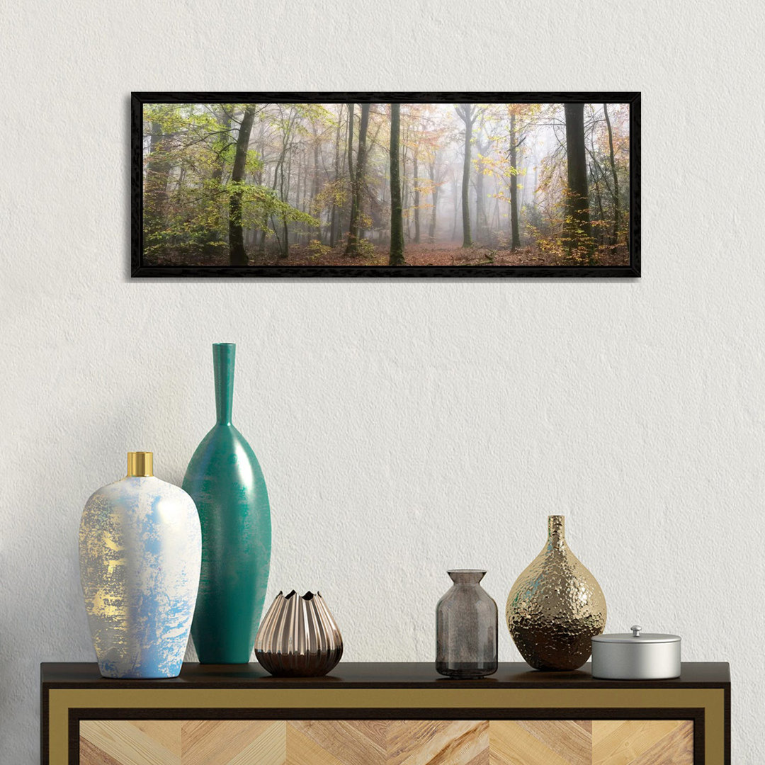 Panoramaspaziergang im Wald von Philippe Manguin - Galerie-verpackte Leinwand Giclée