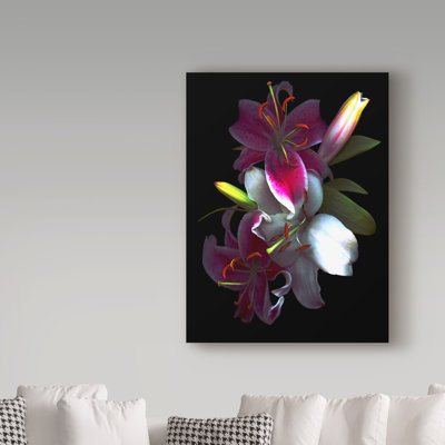 «Lilies» de Dosta, impression sur toile tendue