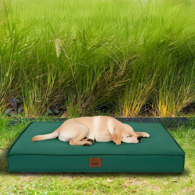 Ultra Soft Pet Bed for Dogs & Cats, Green, 29.5 x 21.7 x 3.5 inches | 100% Polyester Outer Fabric, High Density Foam | Cozy & Supportive Design, Perfect for Resting & Relaxing, Ideal for All Pets