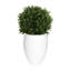 Seville Faux Boxwood Topiary in Fiberstone Planter-1622980590